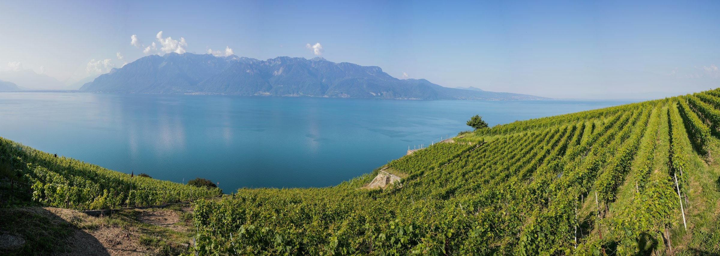 Le lac Léman et les montagnes